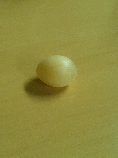 egg00.jpg 240320 27K